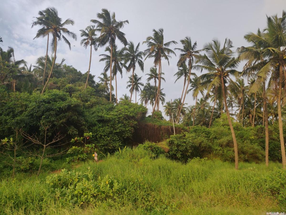 Sunshine Service Villa Kannur Dış mekan fotoğraf