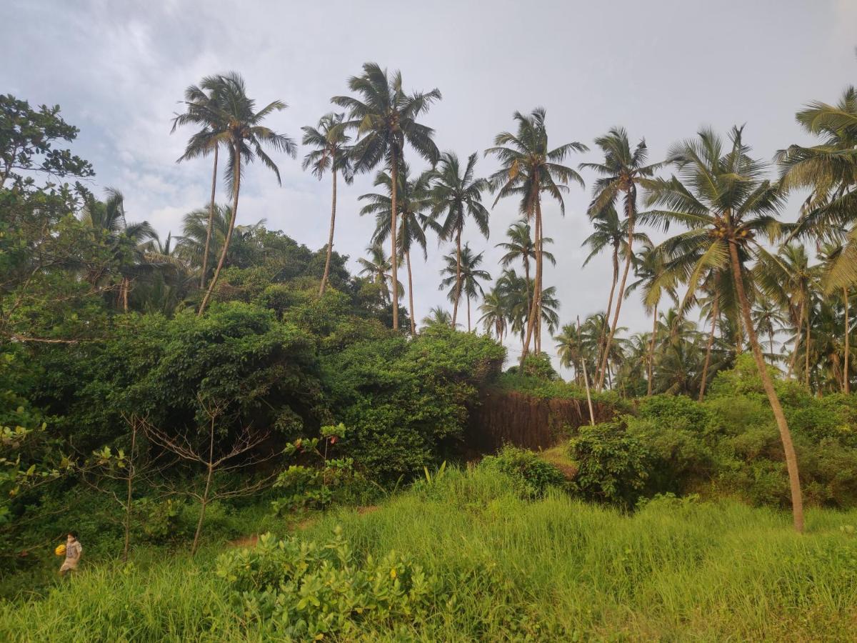Sunshine Service Villa Kannur Dış mekan fotoğraf